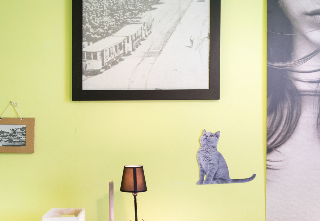 Ferienwohnung in Viareggio - La Casa Matta