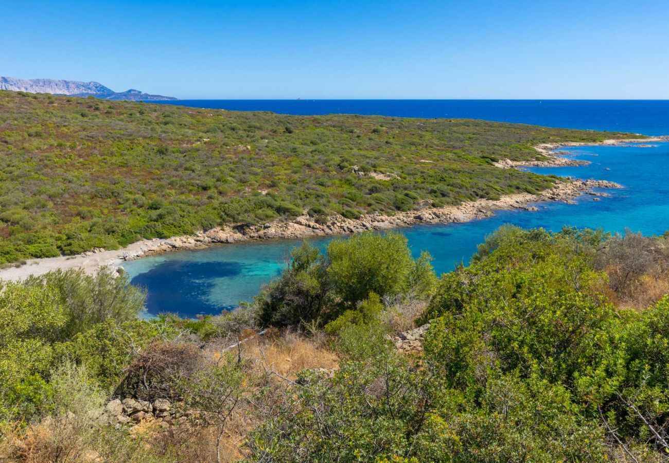 Villa in Ottiolu - VILLA LA BELLA, Luxury Seafront Villa with Panoramic Terrace in Porto Ottiolu, Sardinia