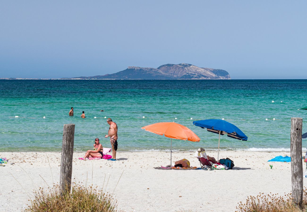 Ferienwohnung in Olbia - Myrsine Viola - moderne Wohnung mit Swimmingpool