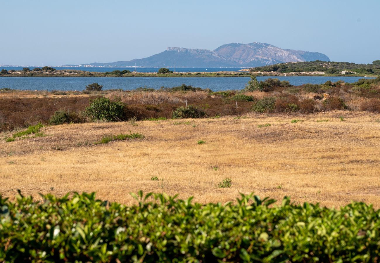 Ferienwohnung in Olbia - Myrsine Stella - moderne Wohnung vor der Bucht