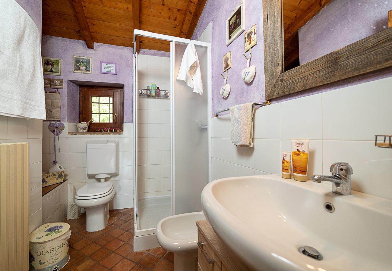 Stadthaus in Lazise - COUNTRYHOUSE NOCINO 1