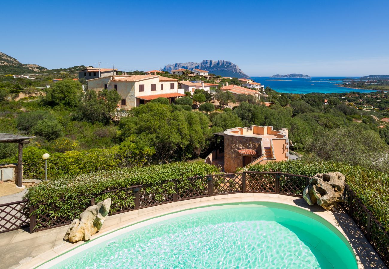 Villa in Olbia - Villa Majra - fantastischer Pool mit Blick auf Tavolara