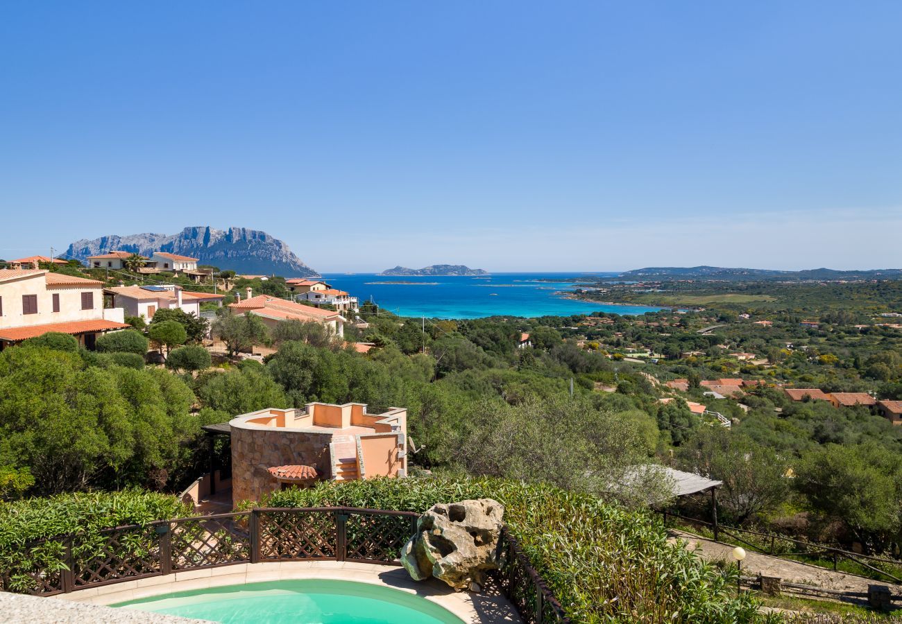 Villa in Olbia - Villa Majra - fantastischer Pool mit Blick auf Tavolara