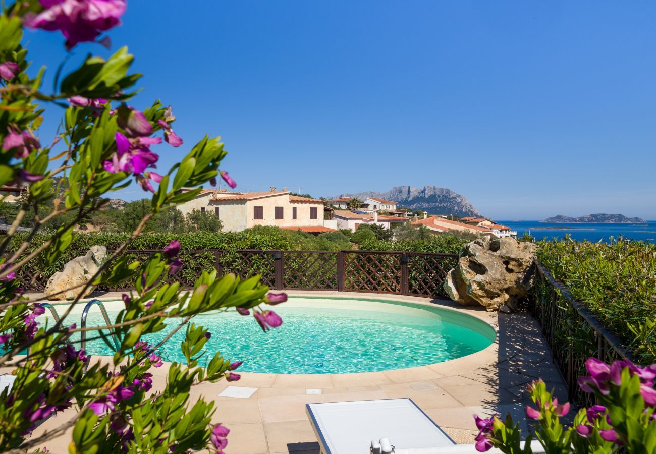 Villa in Olbia - Villa Majra - fantastischer Pool mit Blick auf Tavolara