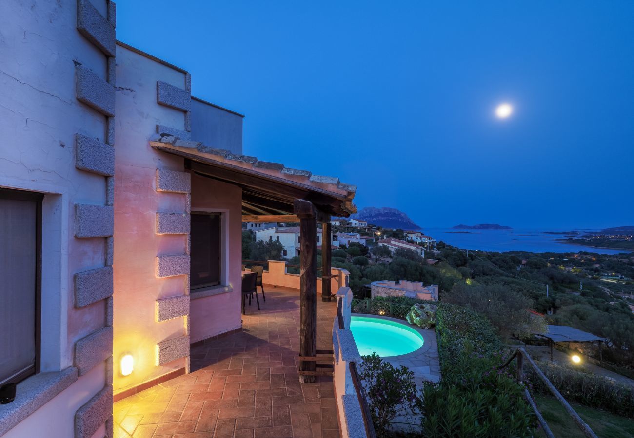 Villa in Olbia - Villa Majra - fantastischer Pool mit Blick auf Tavolara