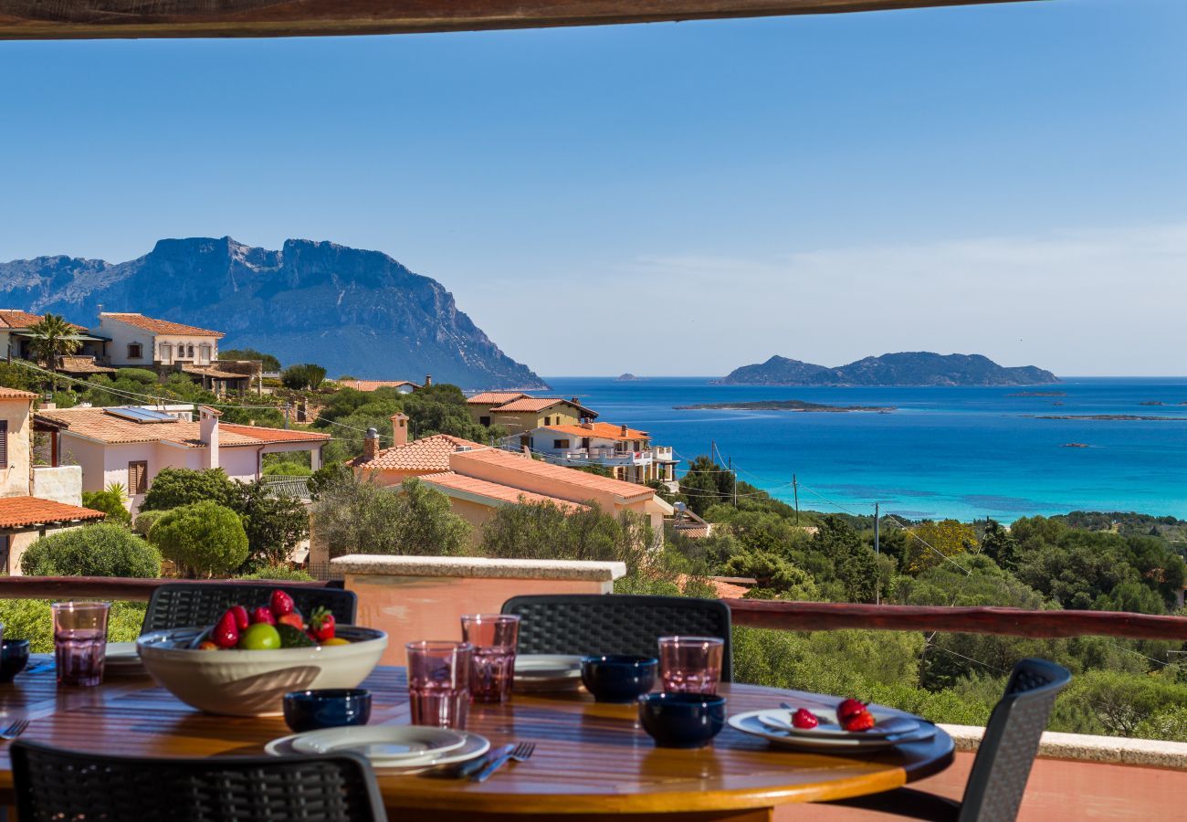 Villa in Olbia - Villa Majra - fantastischer Pool mit Blick auf Tavolara