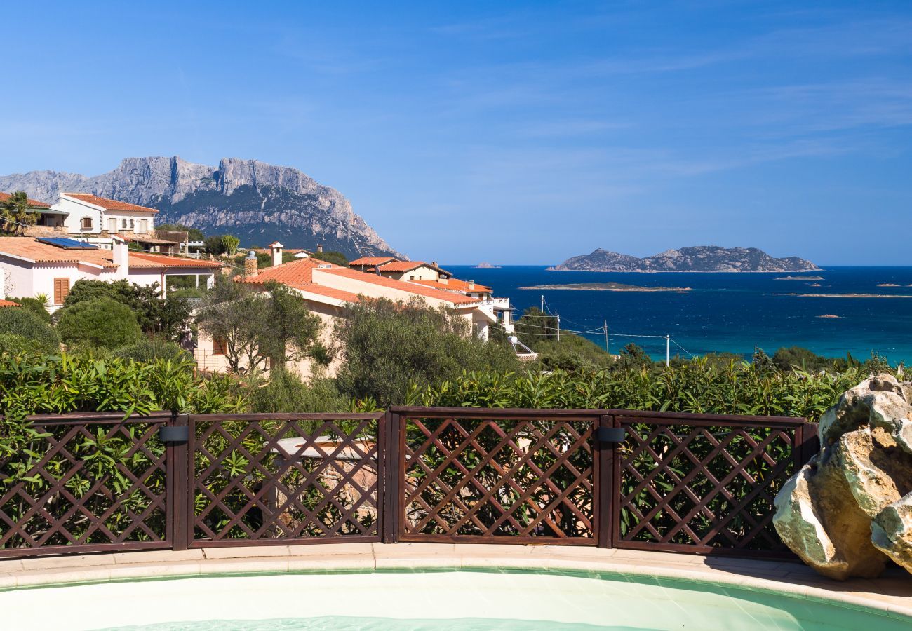 Villa in Olbia - Villa Majra - fantastischer Pool mit Blick auf Tavolara