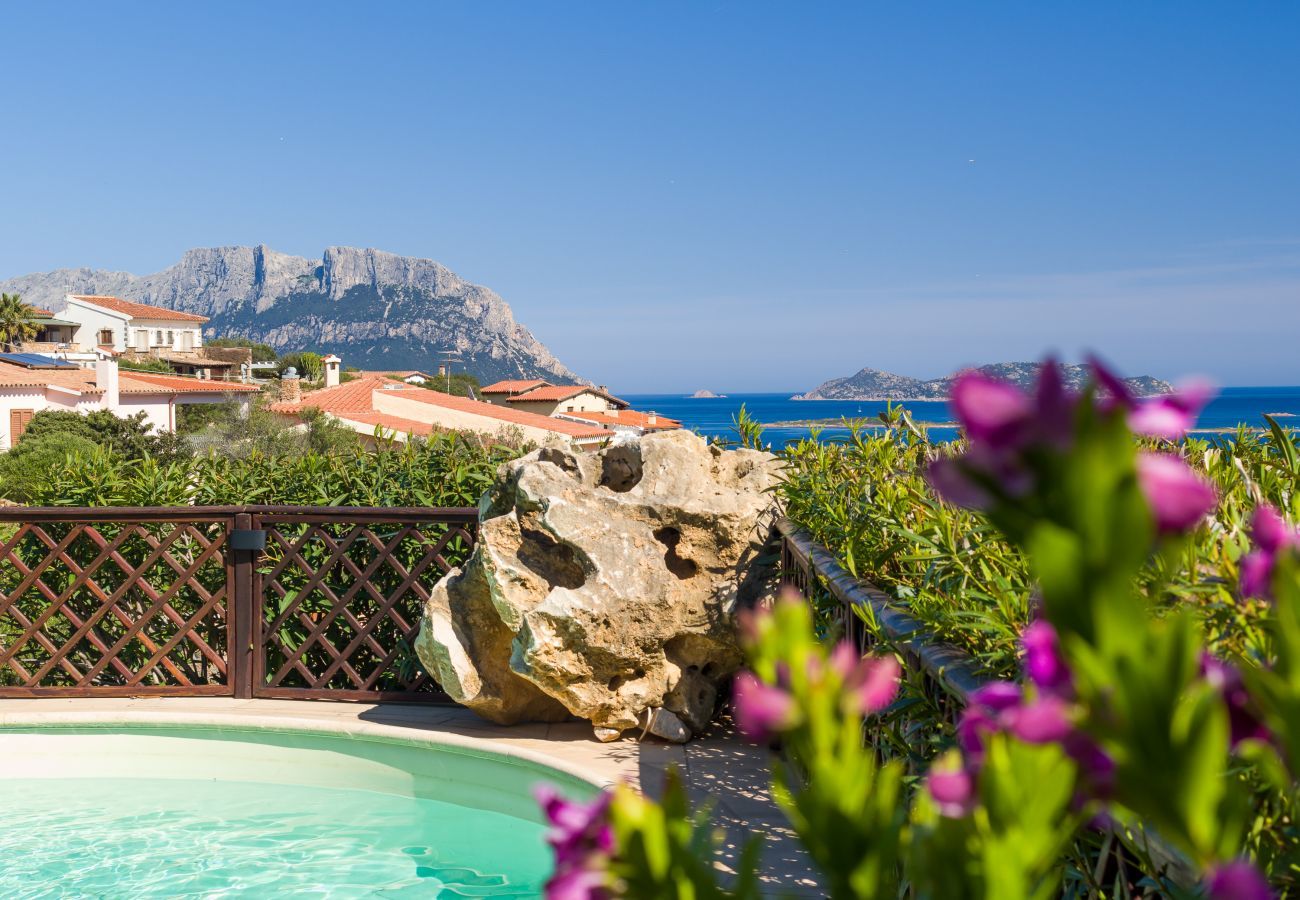 Villa in Olbia - Villa Majra - fantastischer Pool mit Blick auf Tavolara