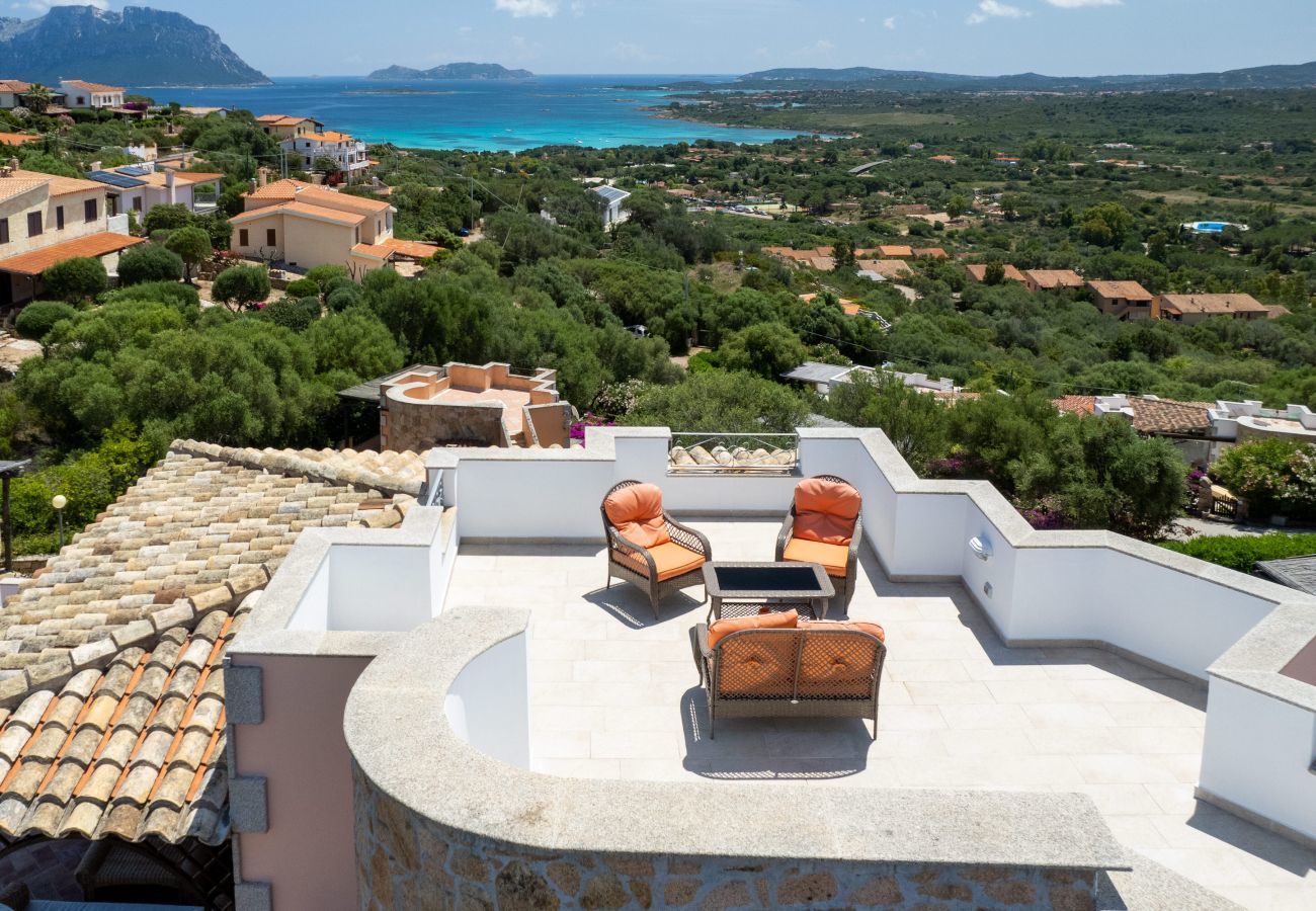 Villa in Olbia - Villa Majra - fantastischer Pool mit Blick auf Tavolara