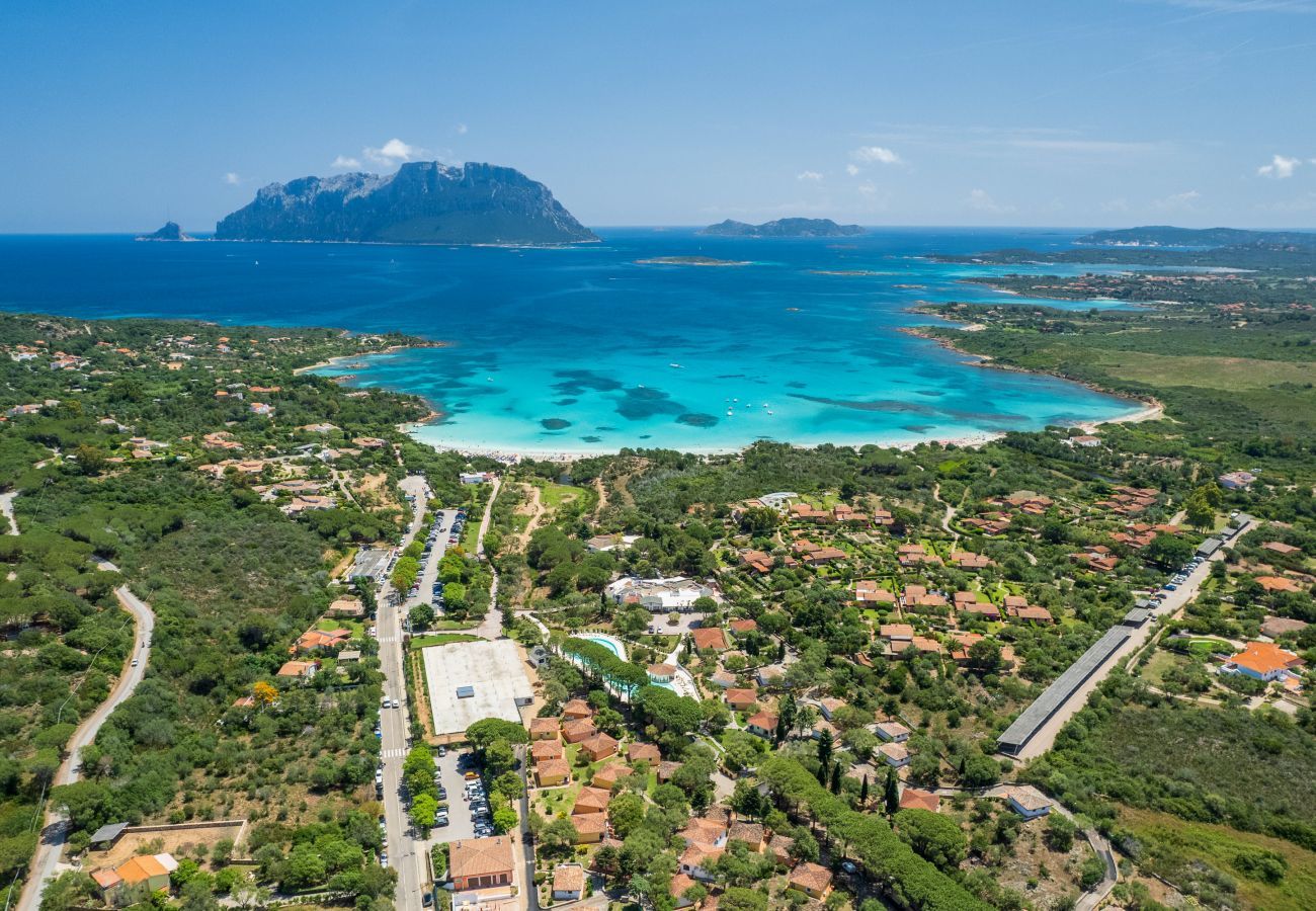 Villa in Olbia - Villa Majra - fantastischer Pool mit Blick auf Tavolara