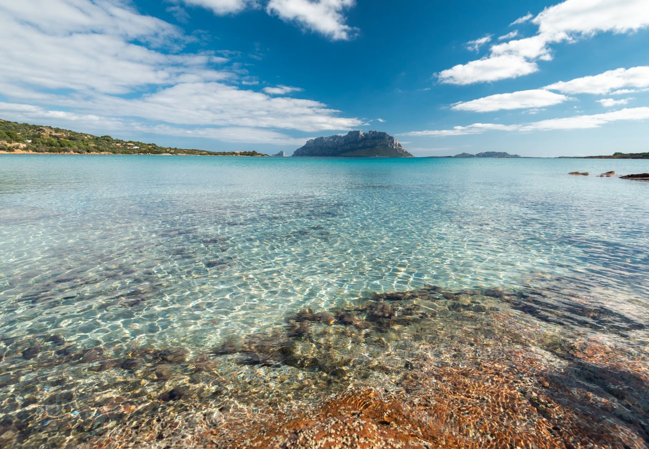 Villa in Olbia - Villa Majra - fantastischer Pool mit Blick auf Tavolara