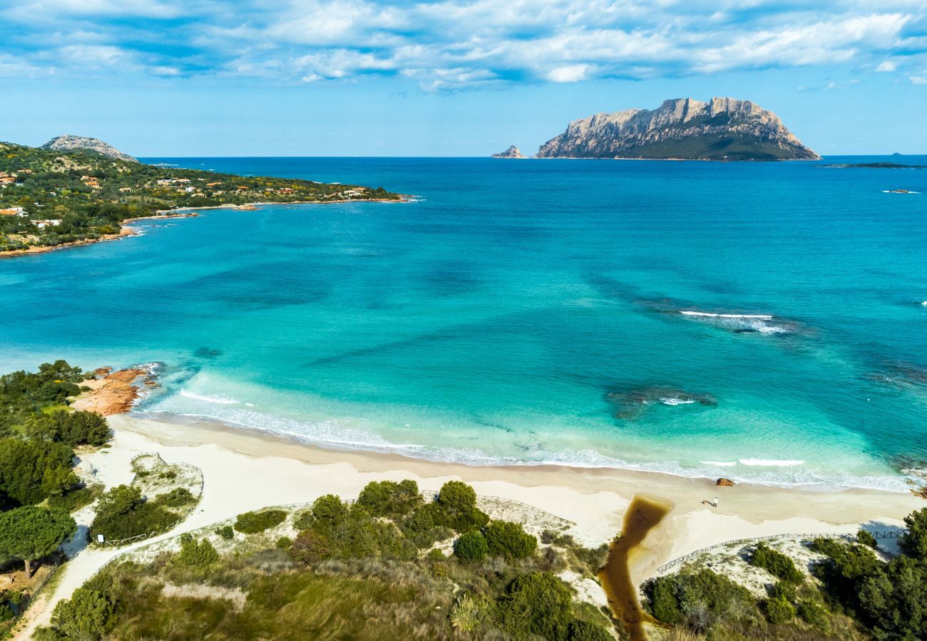 Villa in Olbia - Villa Majra - fantastischer Pool mit Blick auf Tavolara