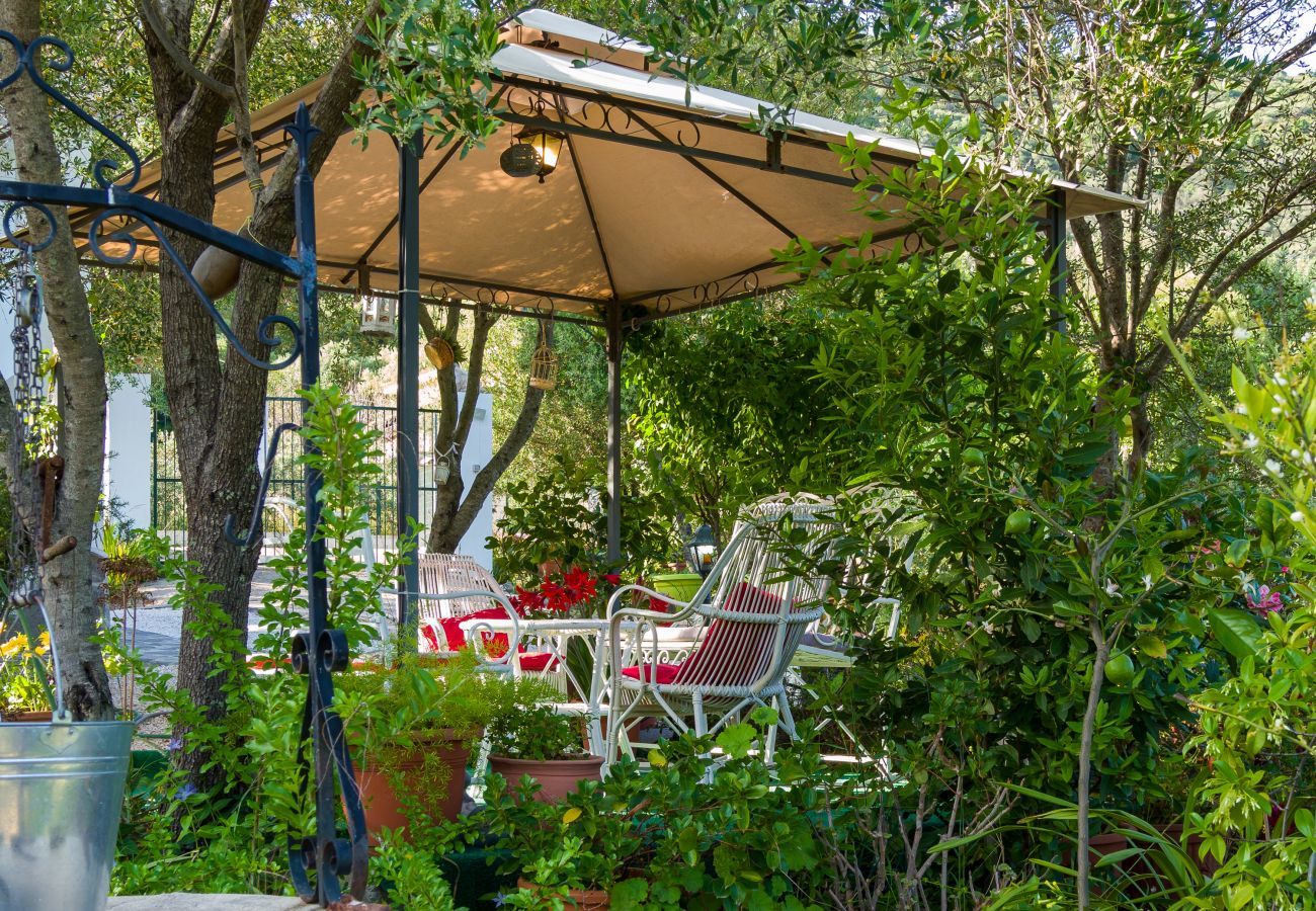 Landhaus in Olbia - Country Lodge - relax & natur bei Porto Rotondo