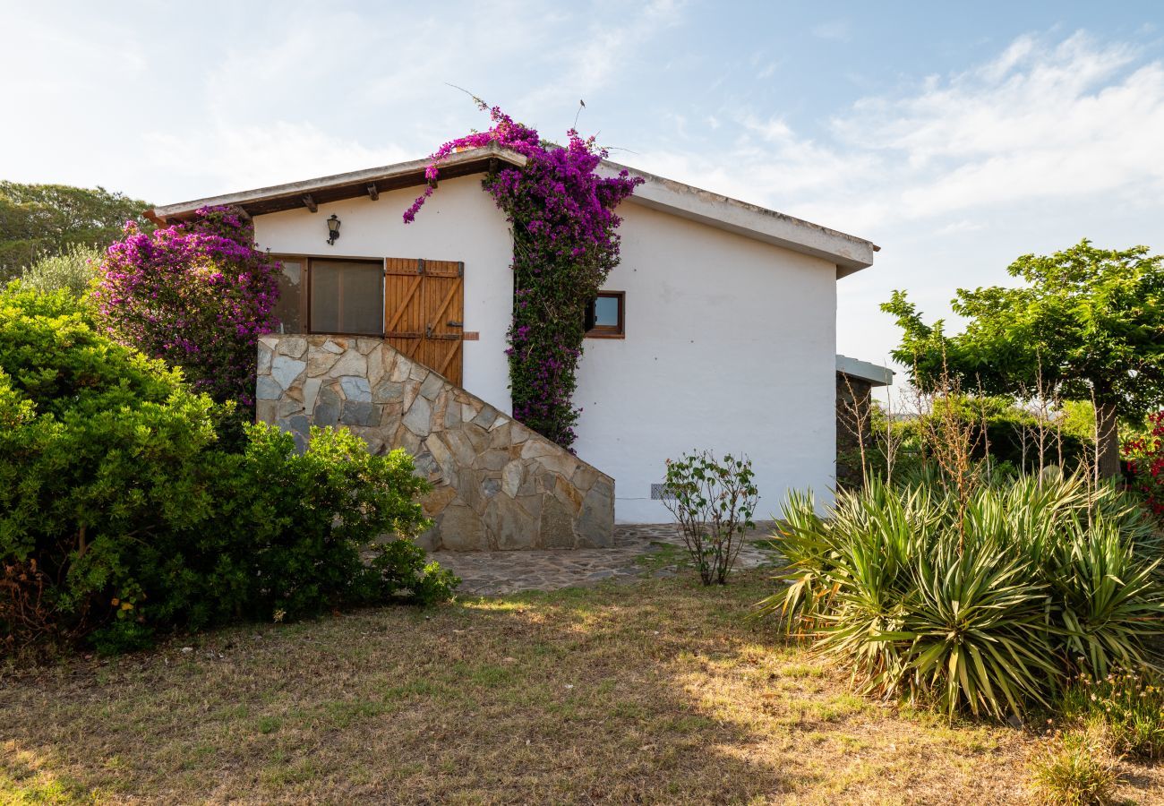 Villa in Olbia - Villa Bay Pine - direkter Zugang zum Pittulongu-Meer, wi-fi