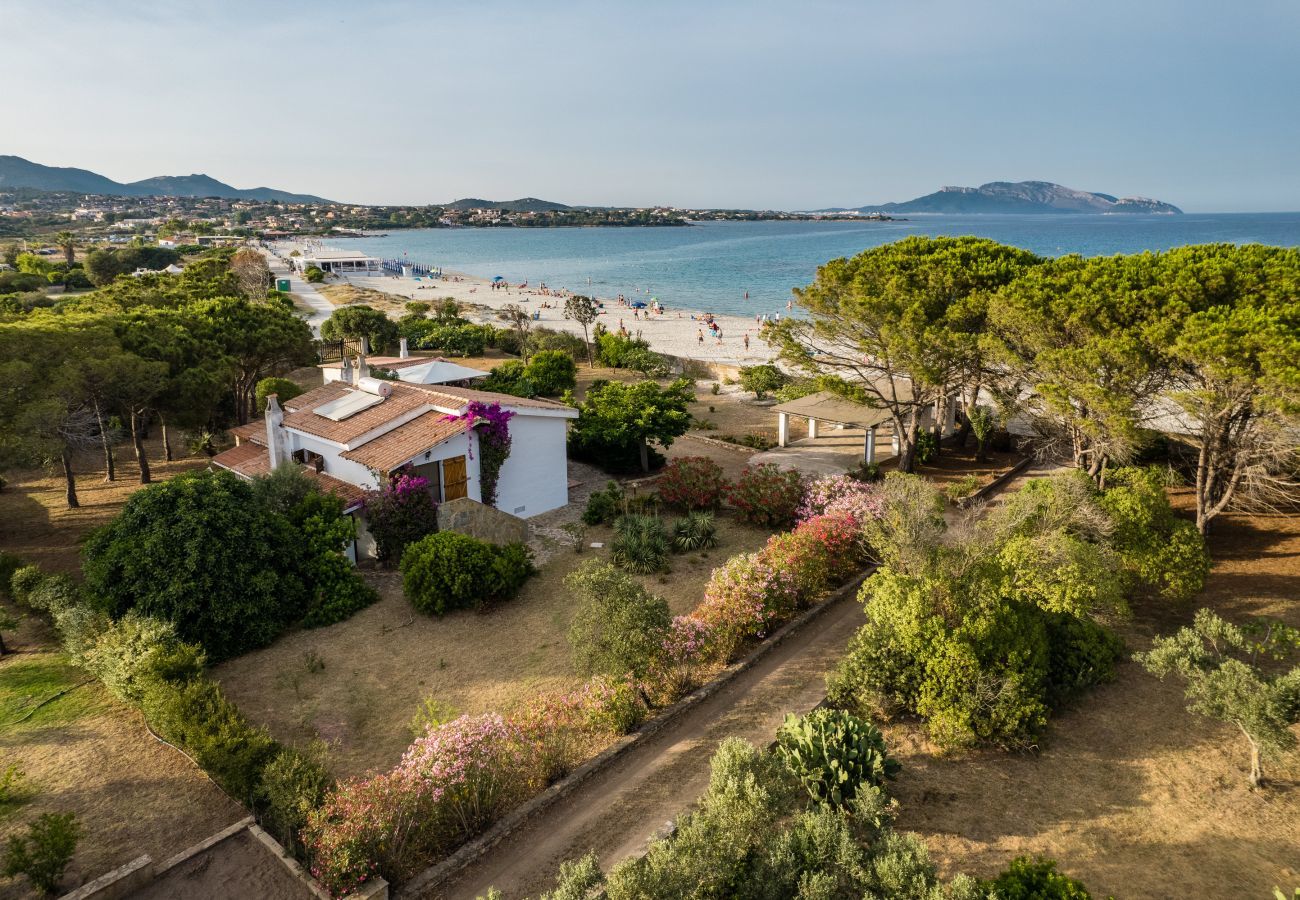 Villa in Olbia - Villa Bay Pine - direkter Zugang zum Pittulongu-Meer, wi-fi