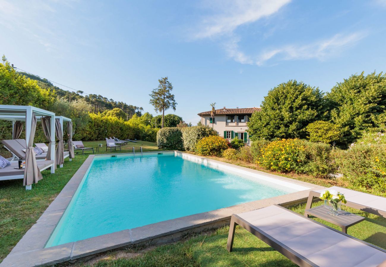 Villa in Vorno - Villa Elizabeth, newly renovated antique villa with private pool on the hills in Vorno close to Lucca