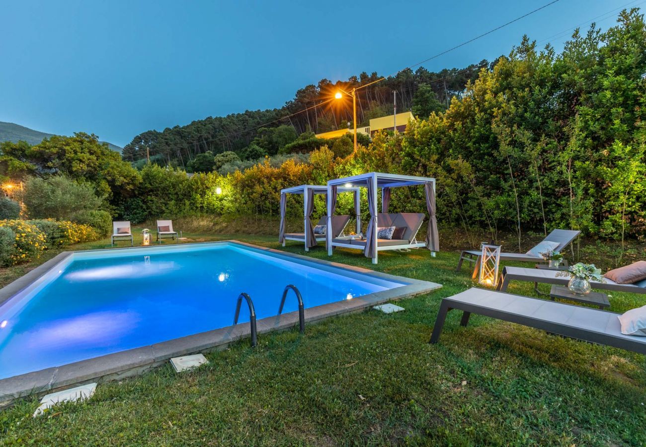 Villa in Vorno - Villa Elizabeth, newly renovated antique villa with private pool on the hills in Vorno close to Lucca