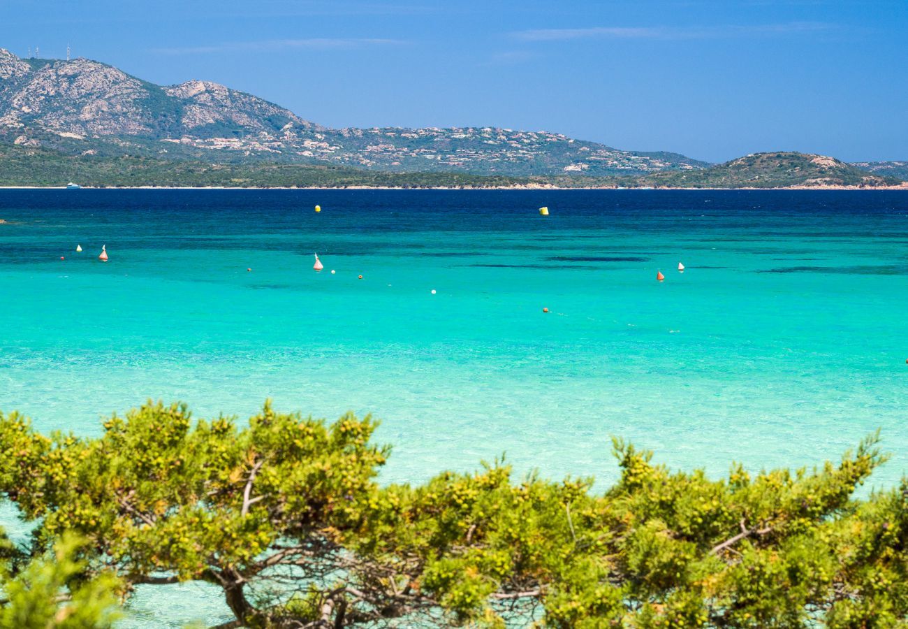 Ferienwohnung in Porto Rotondo - I Lecci 3 - Terrasse mit Meerblick und Privatsphäre in Porto Rotondo