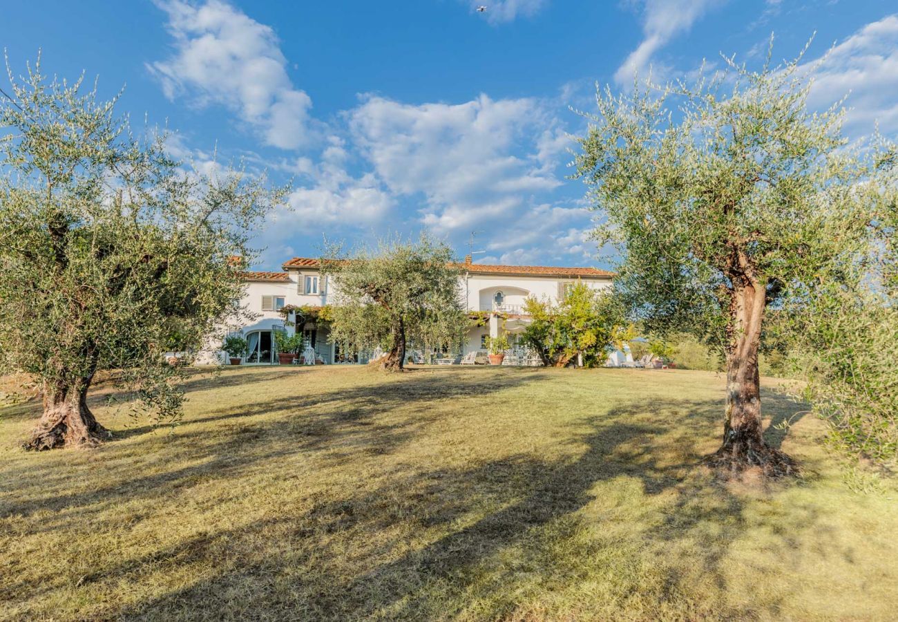 Villa in Capannori - Villa Noa, a Private Retreat with View