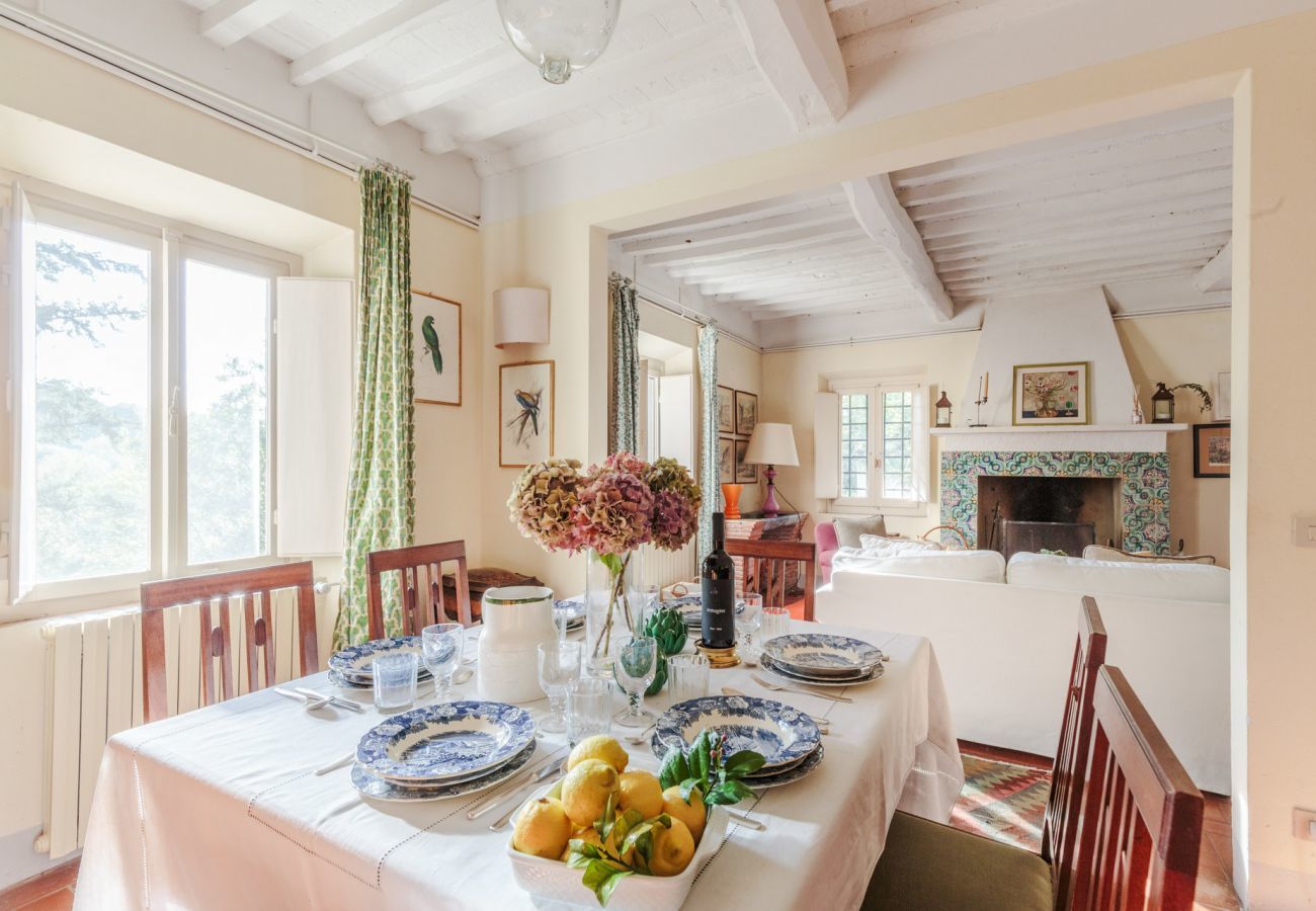 Villa in Camaiore - Villa Birdsong