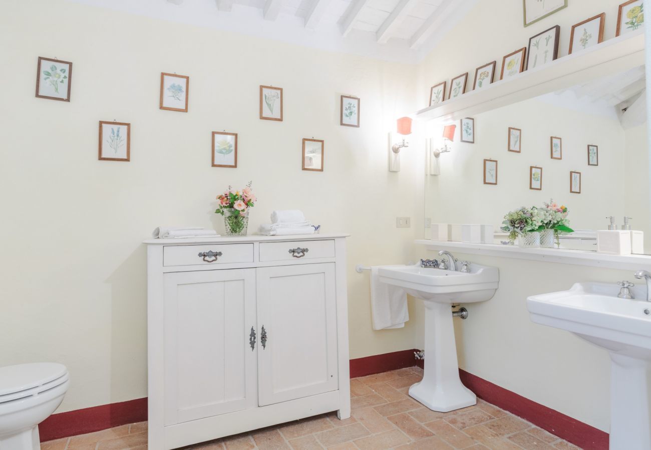 Villa in Camaiore - Villa Birdsong