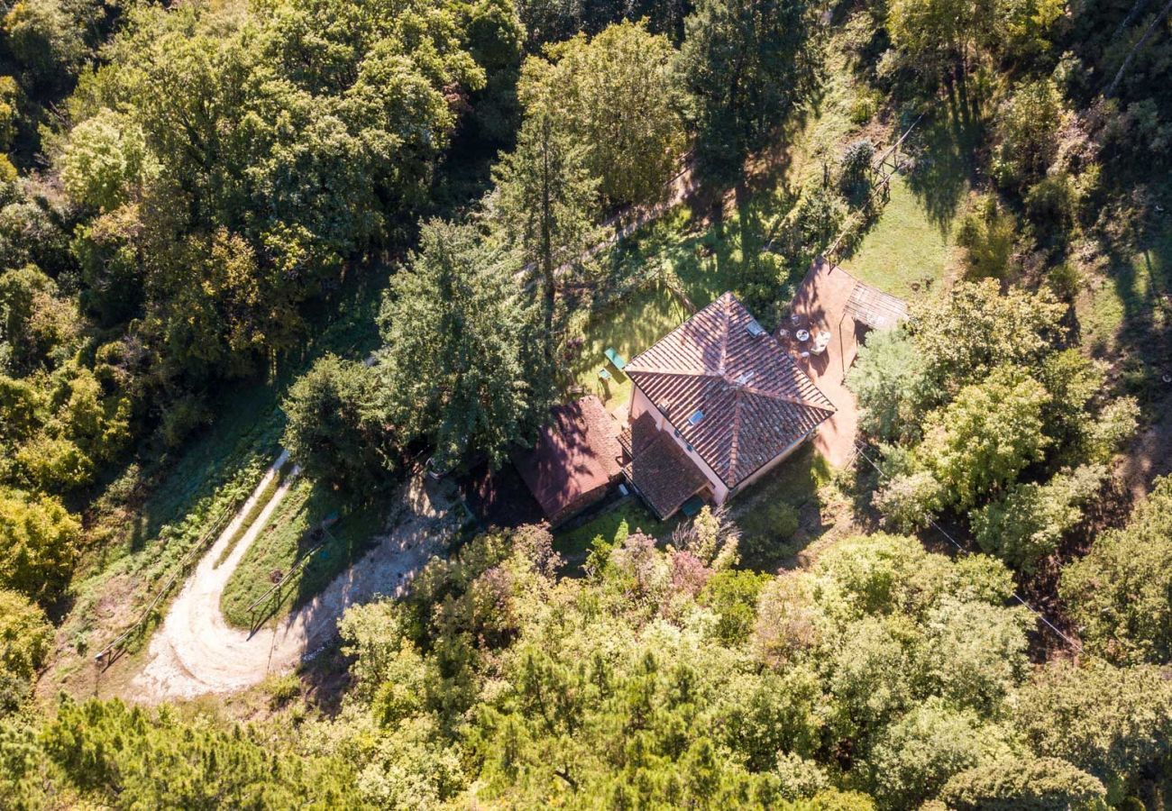 Villa in Camaiore - Villa Birdsong, among the Woods in Camaiore