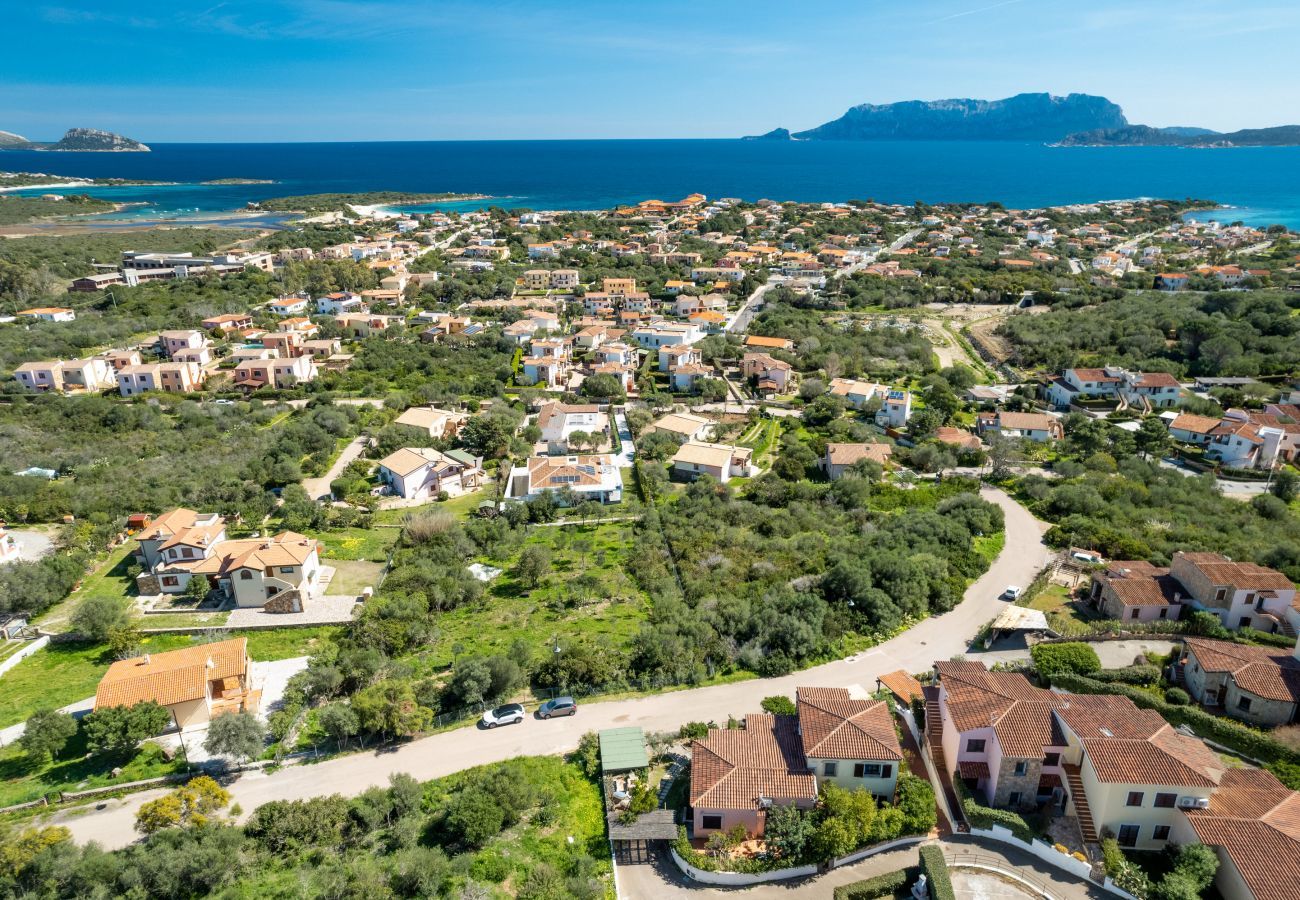 Ferienwohnung in Olbia - Sea Shell 16 - Sand- und Sonnenurlaub