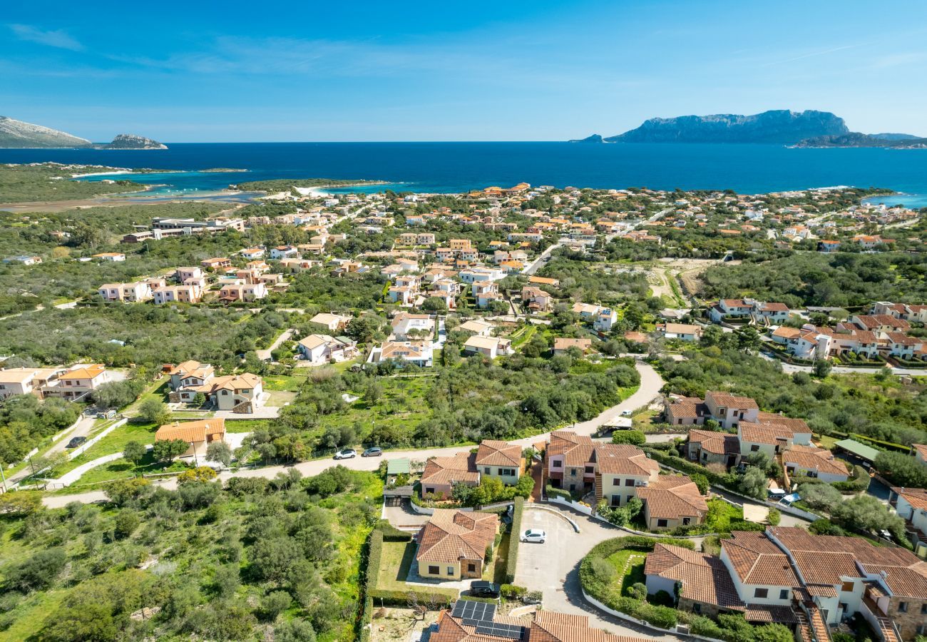 Ferienwohnung in Olbia - Sea Shell 16 - Sand- und Sonnenurlaub