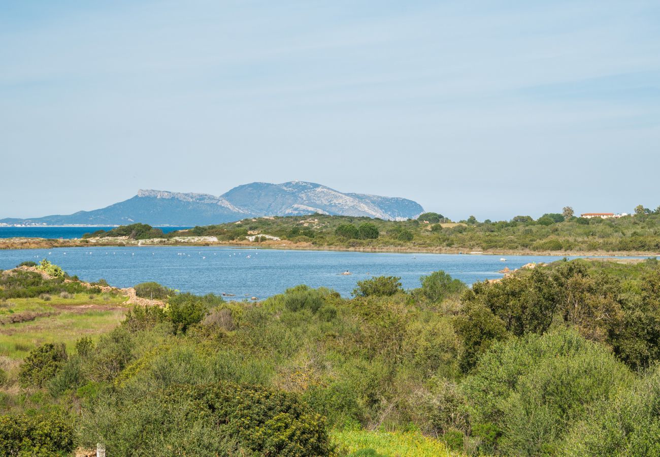 Ferienwohnung in Olbia - Myrsine 54 - Wohnung mit Blick auf Marina Maria und Tavolara