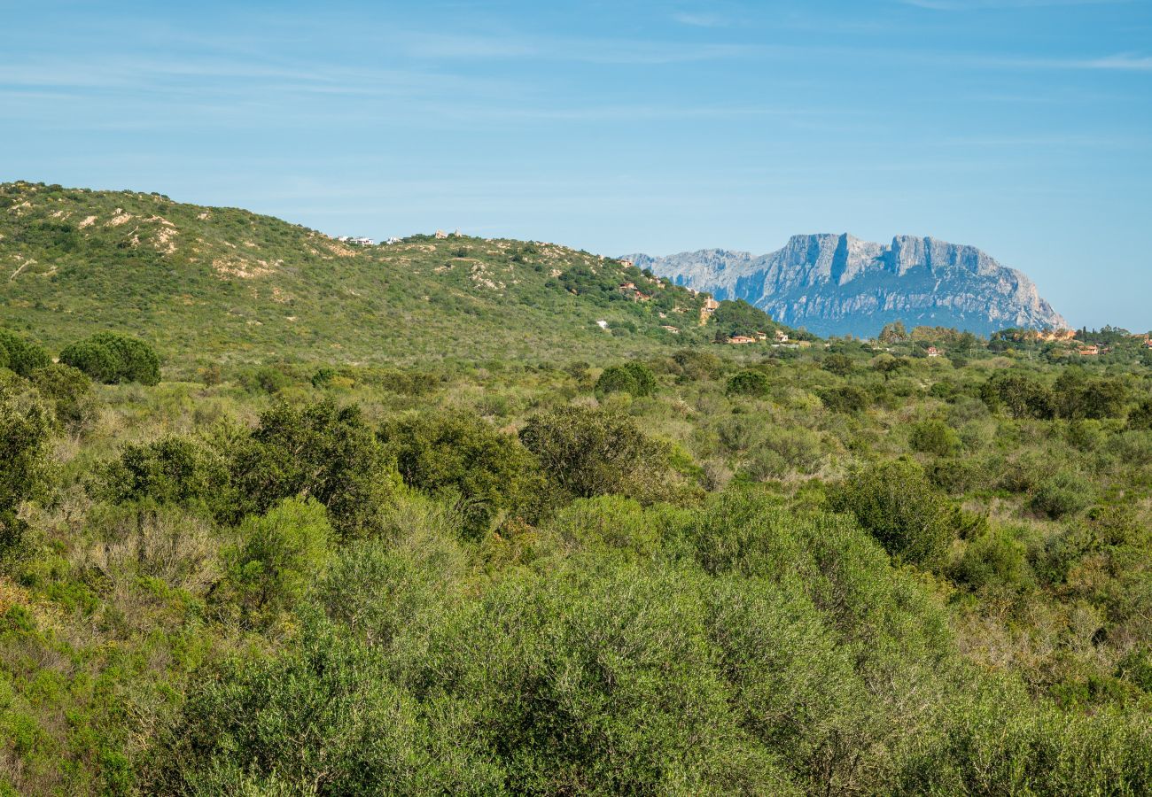 Ferienwohnung in Olbia - Myrsine 54 - Wohnung mit Blick auf Marina Maria und Tavolara