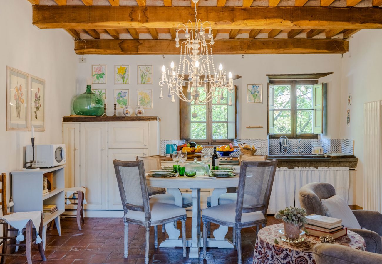 Ferienwohnung in Piano di Coreglia - Casa Cassettari Apartment with Garden