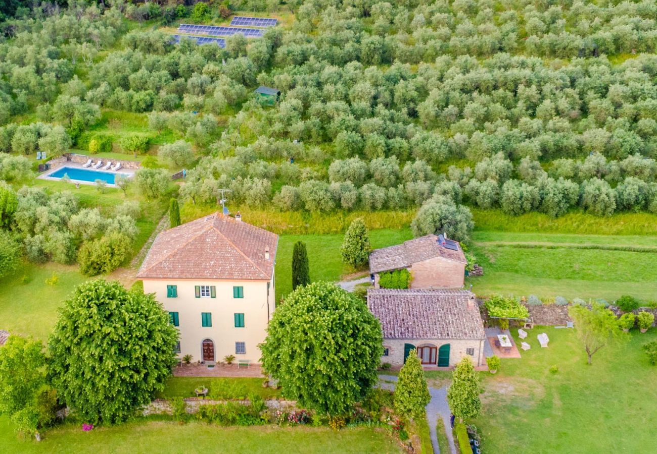 Villa in Capannori - Citrus Charm Farmhouse