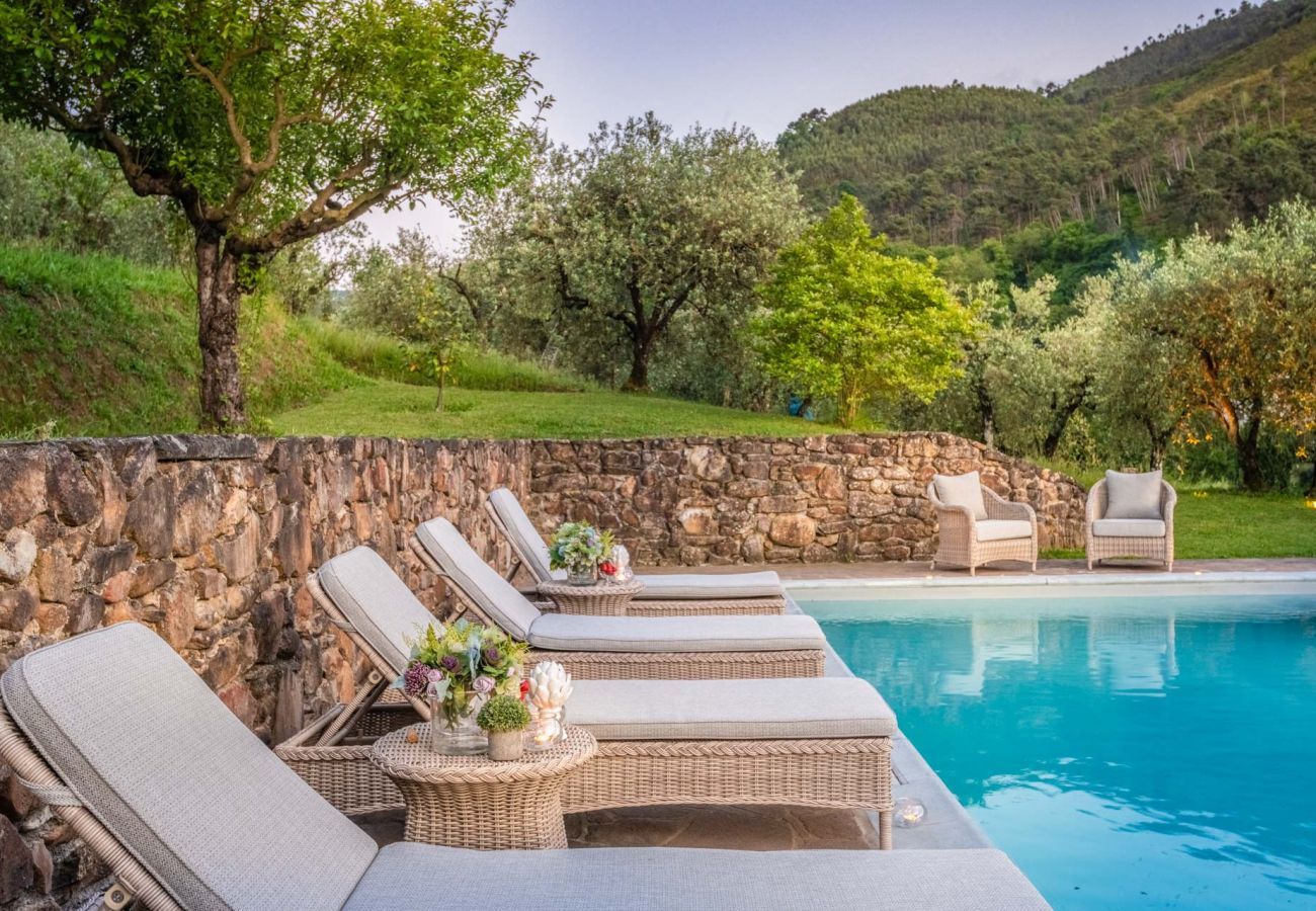 Villa in Capannori - Citrus Charm Farmhouse