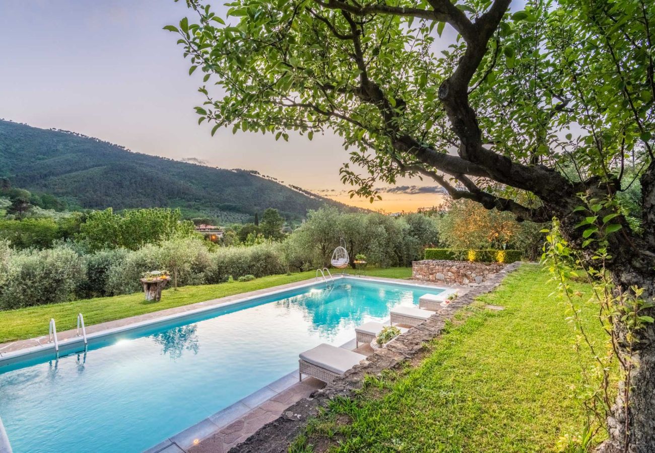 Villa in Capannori - Citrus Charm Farmhouse