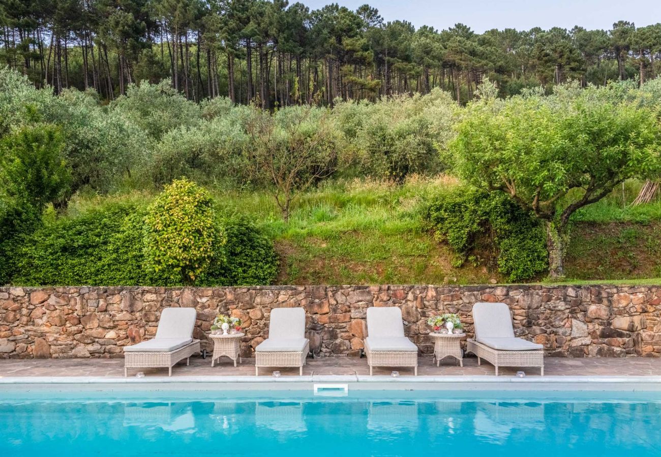 Villa in Capannori - Citrus Charm Farmhouse