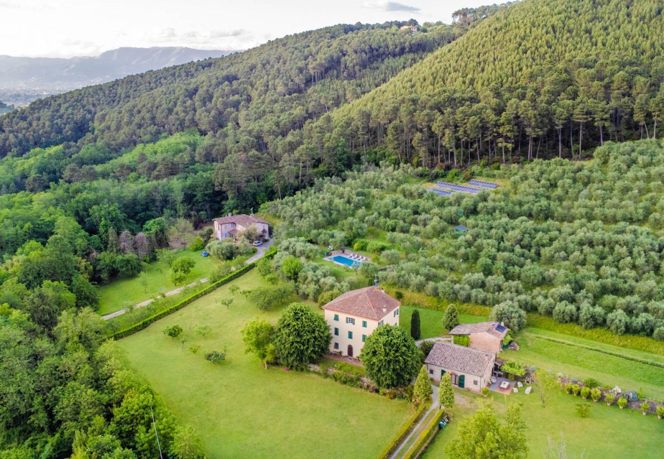 Villa in Capannori - Citrus Charm Farmhouse