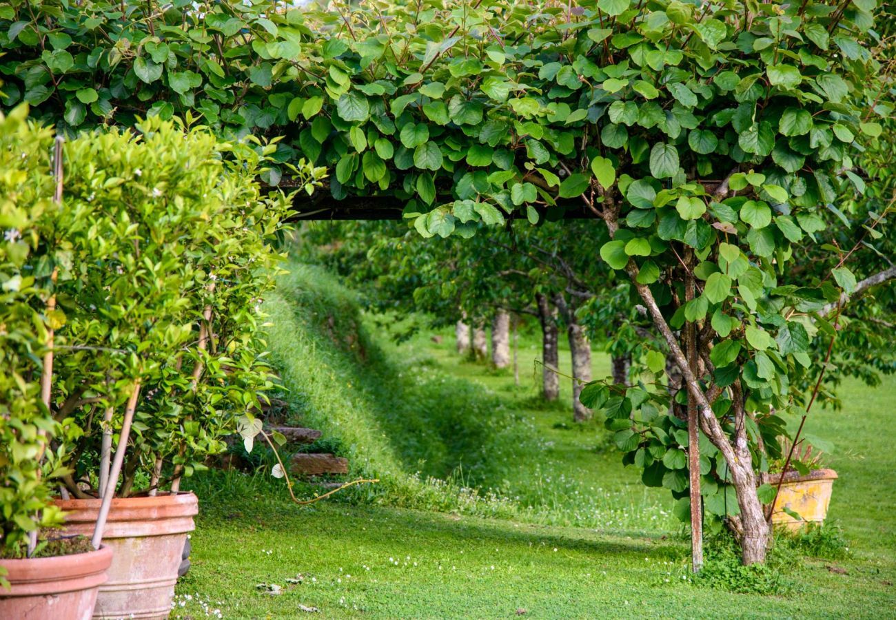 Villa in Capannori - Citrus Charm Farmhouse