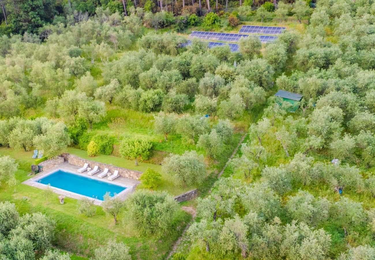 Villa in Capannori - Citrus Charm Farmhouse