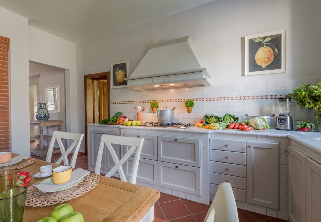 Villa in Orentano - Villa del Nonno
