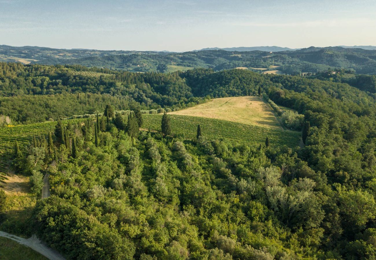 Villa in San Miniato - Villa San Miniato