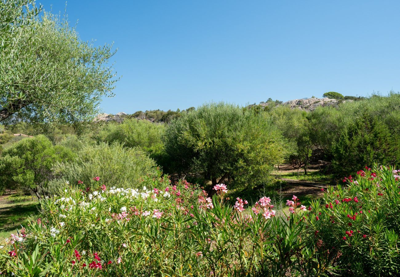 Ferienwohnung in Porto Rotondo - Caletta Nest 88