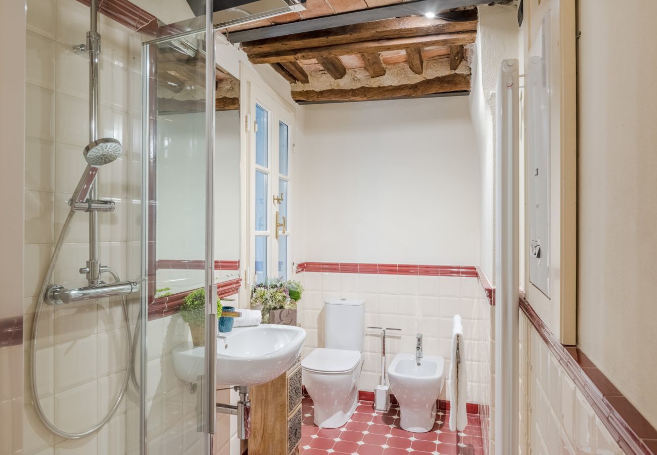 Ferienwohnung in Lucca - Paolino View Apartment