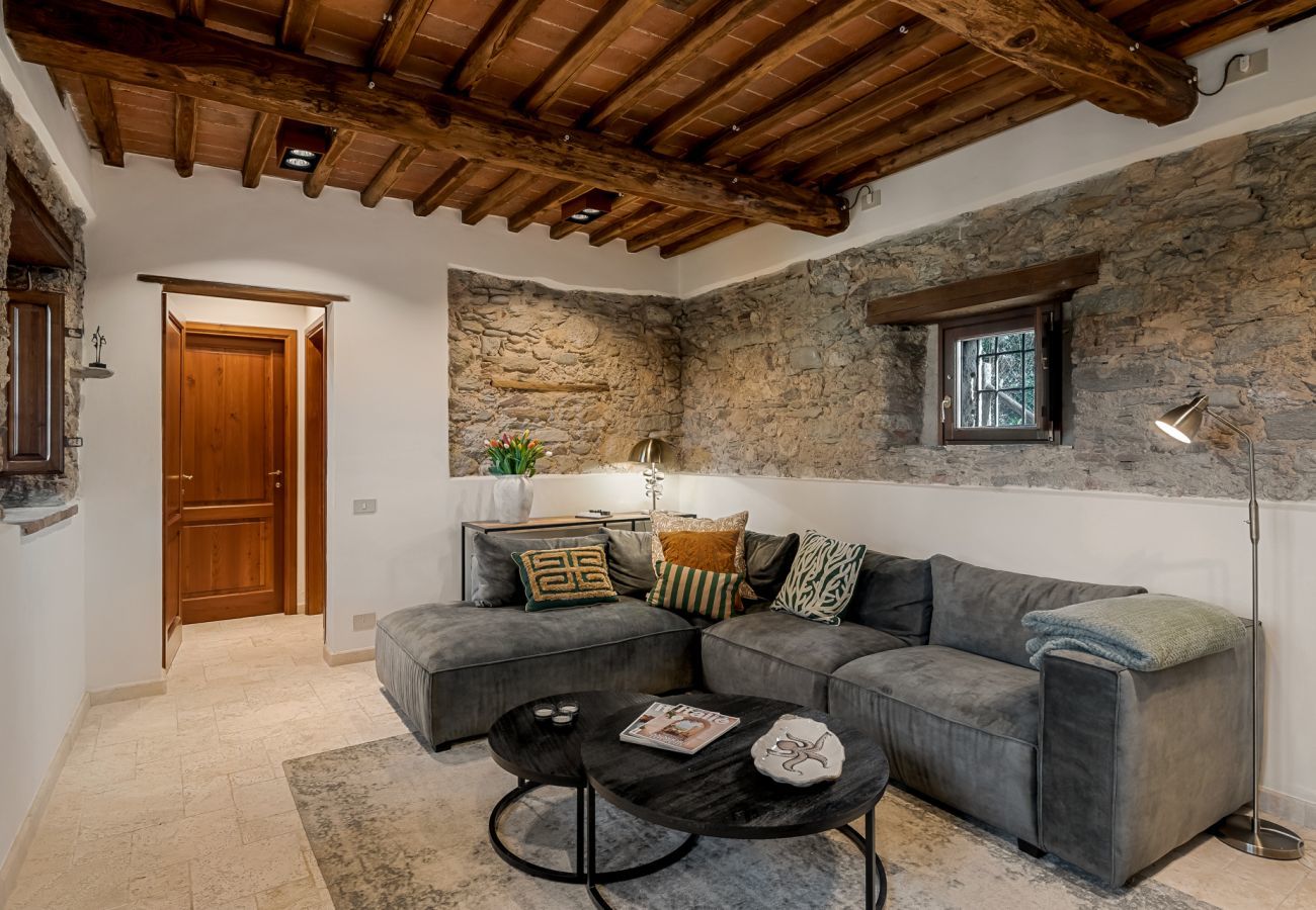 Villa in Pietrasanta - Villa Emilie