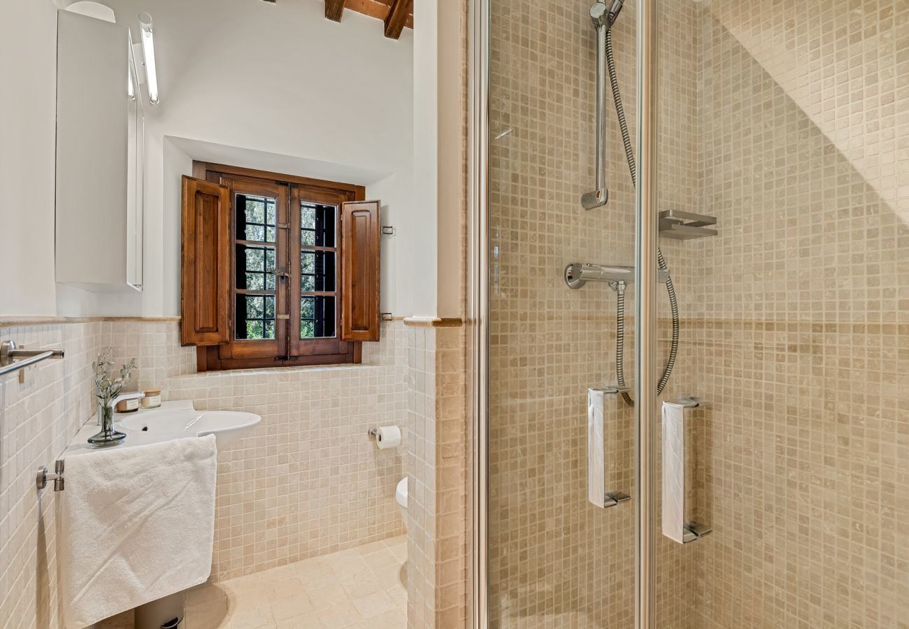 Villa in Pietrasanta - Villa Emilie