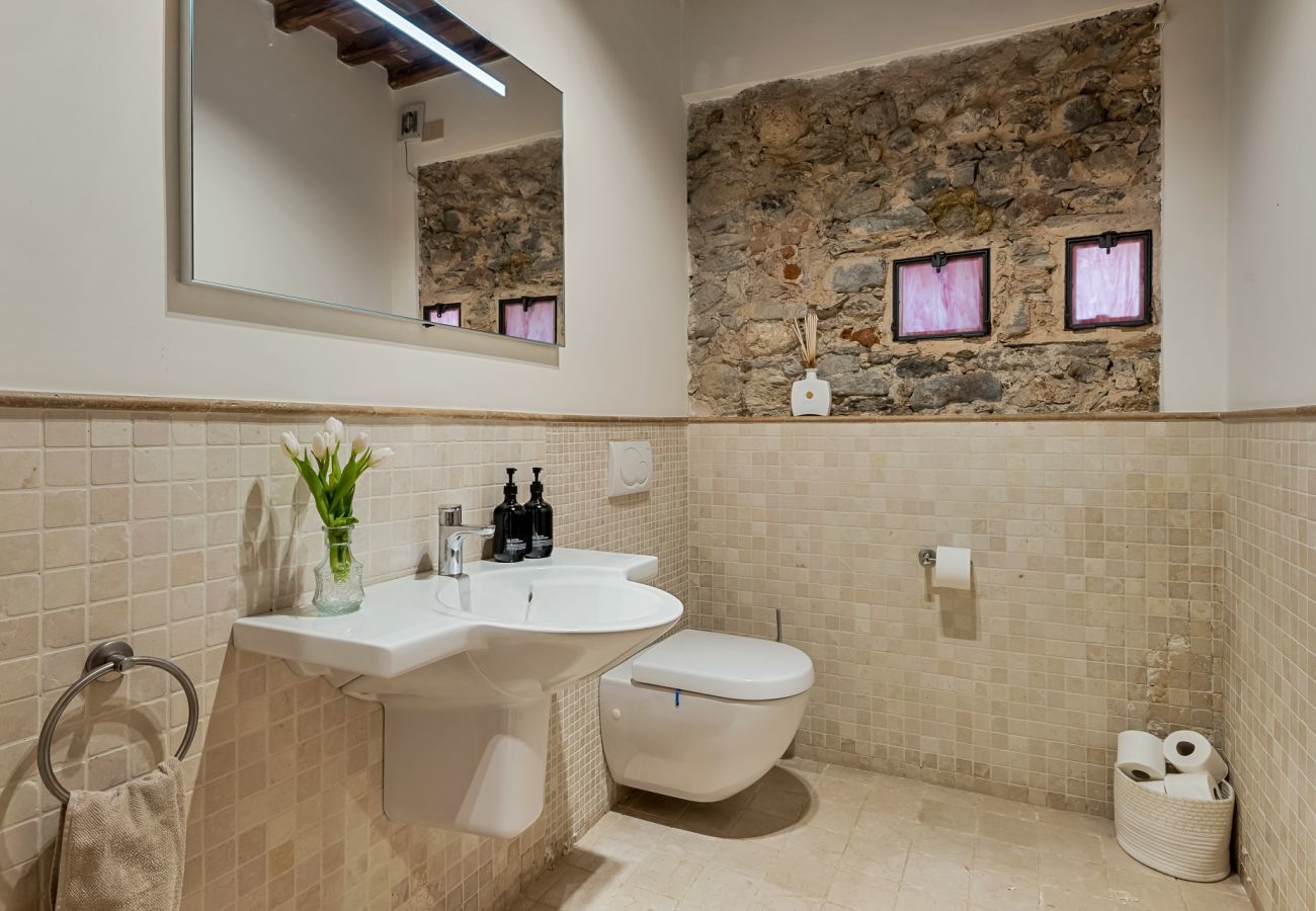 Villa in Pietrasanta - Villa Emilie