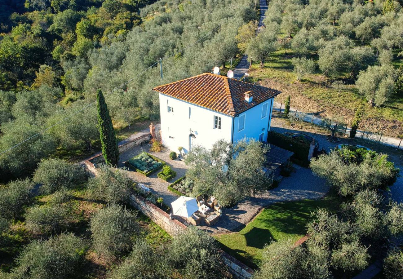 Villa in Lucca - Villa Querciabella