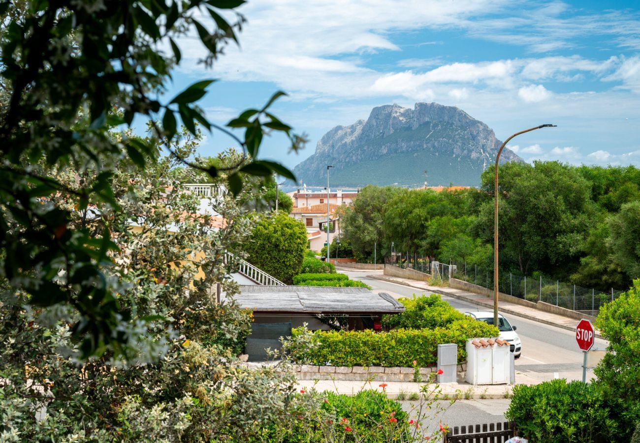 Ferienwohnung in Porto San Paolo - Casa Nivy