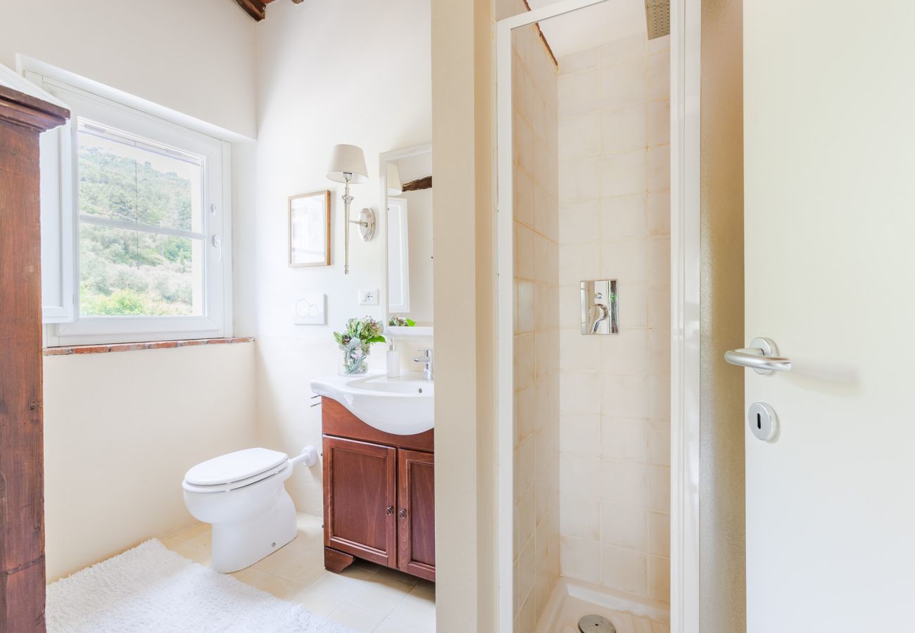 Villa in Vorno - Villa Brera