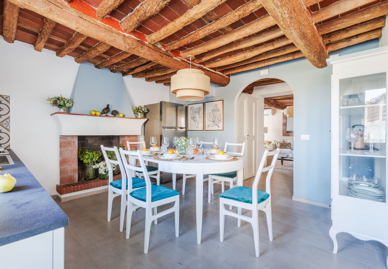 Villa in Lucca - Villa Podere Falcione