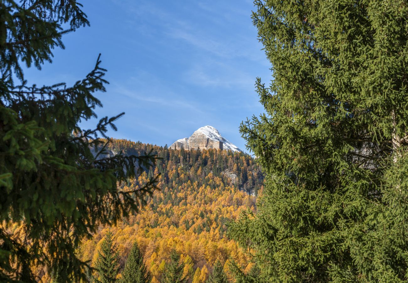Ferienwohnung in Cortina d´Ampezzo - Angiolina Charming Apartment R&R